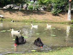 -武汉园博园(武汉自然博物馆)