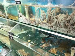 -正亮农家院·海鲜本地菜