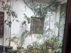 -花迹(富春江东街店)