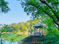-嵖岈山风景区
