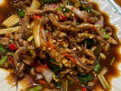 -老号尤兔头(幸福店)