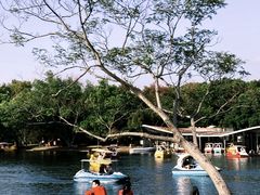 -上海共青森林公园