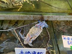 -南丫岛