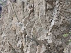 -王顺山国家森林公园
