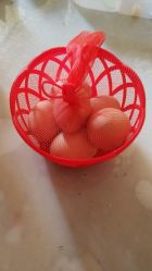 -上美四季动物农场