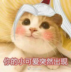 -深圳大学城荔园一食堂(校园路)