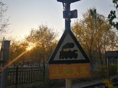 -西青郊野公园
