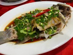 -先鲜鲫鱼粥