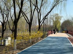 -大兴滨河森林公园