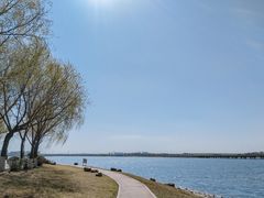 -丁香湖公园