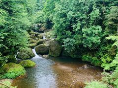 -龙苍沟森林公园