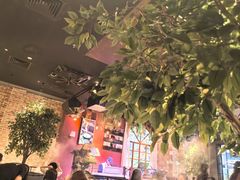 -同仁四季椰子鸡(宝安壹方城店)