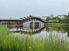 -西海子公园