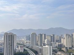 -金鸡山公园