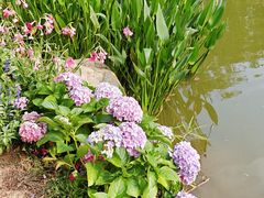 -人民公园(罗湖区)