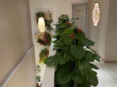 -手舒·采耳按摩·影院足道spa(莫愁湖东路店)