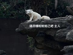 -杭州野生动物世界