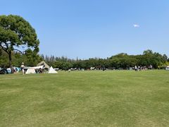 -上海滨江森林公园