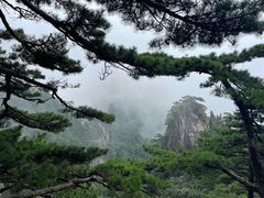 -黄山风景区