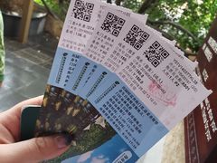 -呀诺达热带雨林