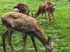 -上海交通大学(闵行校区)