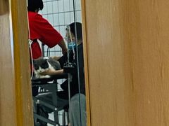 -BABIT巴比特宠物(MOMOPARK店)