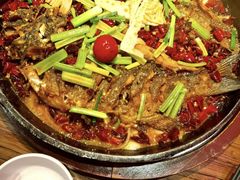 -老板恋上鱼(环山路店)