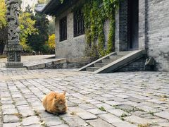 -晋祠公园