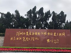 -莲花山公园
