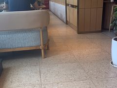 -云海肴云南菜(浦江欢乐颂店)