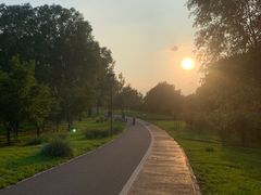 -马家湾湿地公园