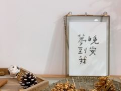 -猫里有甜