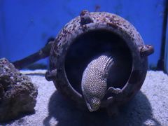 -大连老虎滩海洋公园