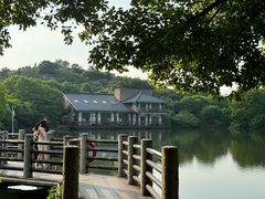-白马涧龙池景区