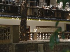 -嘁嘁茶泡饭
