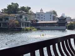 -荔湾湖公园