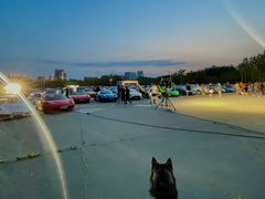 -枫花园汽车电影院(朝阳公园店)