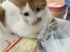 -佳雯宠物医院·皮肤科·内外科(春晓路分院)