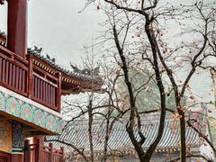 -华清宫景区