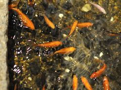 -邈墨茶馆(凤起路店)