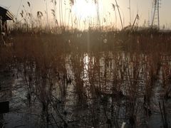 -永定河休闲森林公园