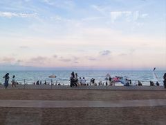 -日照海滨国家森林公园