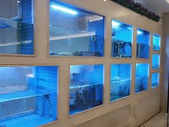 -皇朝尊会(龙之梦大酒店)