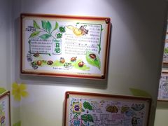 -上海昆虫博物馆