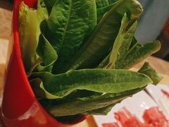 -清真军邺·金富苑肥牛(石坡街旗舰店)