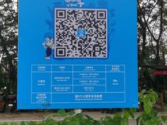 -广州长隆飞鸟乐园