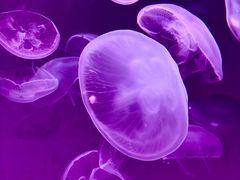 -沈阳海洋探索中心