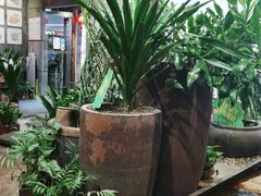 -老客家·客家菜(万达店)