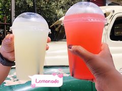 Lemonade-The Grounds of Alexandria