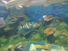 -泉州海丝野生动物世界